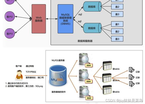 數據庫概覽與MySQL實戰指南 數據處理與存儲服務解析